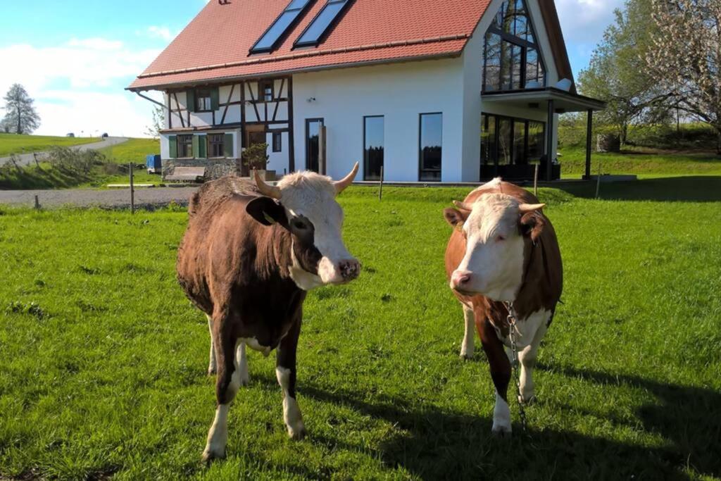 5Sterne Ferienwohnung Im Fachwerk Mit Bergblick In Alleinlage Und Grossem Garten, Infrarotkabine Humberg Exterior photo