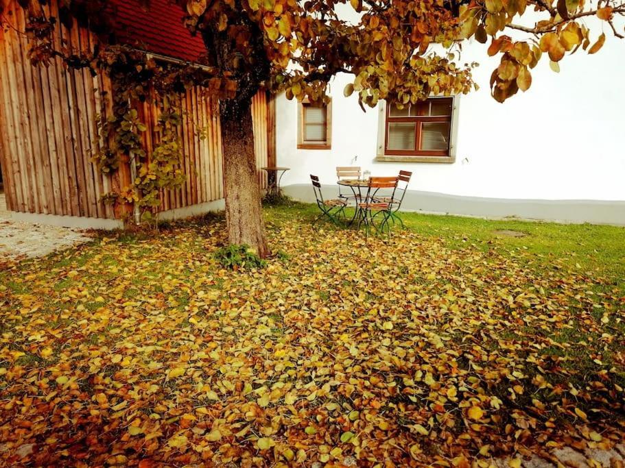 5Sterne Ferienwohnung Im Fachwerk Mit Bergblick In Alleinlage Und Grossem Garten, Infrarotkabine Humberg Exterior photo